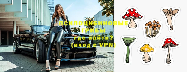 apvp Лабытнанги