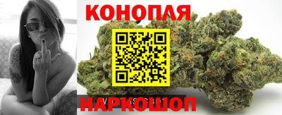 прущие грибы Донецк