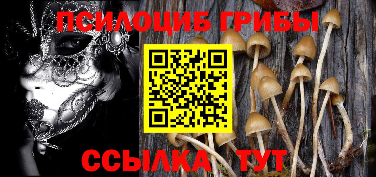 Галлюциногенные грибы MAGIC MUSHROOMS Ухта