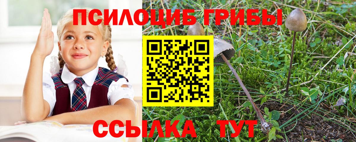 Псилоцибиновые грибы Cubensis  Галлюциногенные грибы Psilocybine cubensis  Ухта  Вход с VPN 